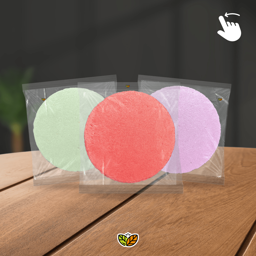 Obleas de amaranto en empaques transparentes individuales, disponibles en diferentes colores y sabores como matcha, frutos rojos, taro, chocolate, café y natural. Snack ligero, nutritivo y en tendencia para cafeterías escolares, universidades, gimnasios y tiendas naturistas. Botanas saludables aprobadas para vender en escuelas, con venta al mayoreo en México y opción de personalización de etiquetas para emprendedores que desean lanzar su propia marca. Obleas de amaranto con vida de anaquel de hasta 2 meses