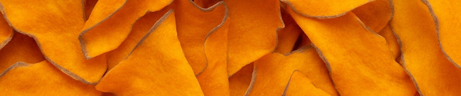 close up a chips de camote deshidratado natural para vender en mayoreo botanas saludables blofis