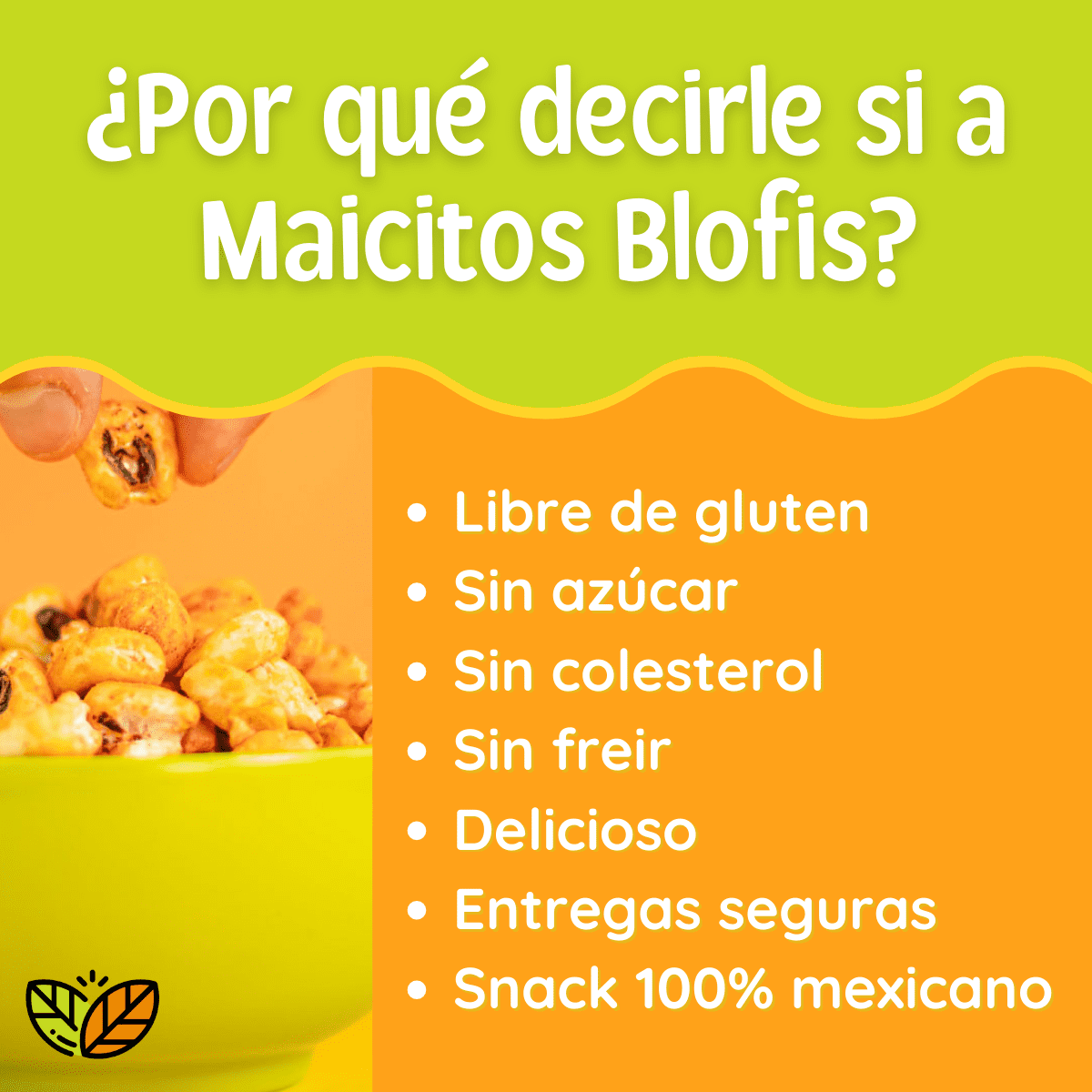 razones para confiar en blofis proveedores de maicitos fabrica de maiz inflado en mexico